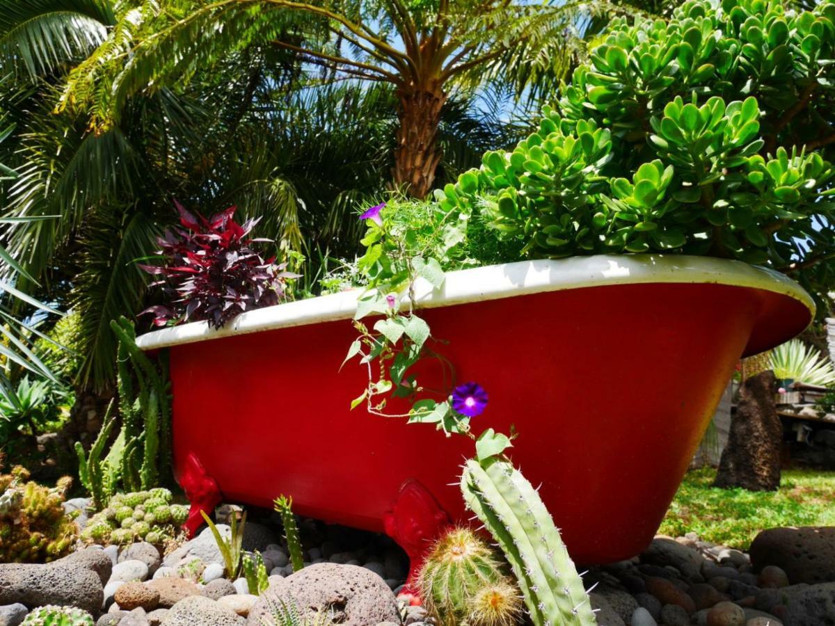 Casas Serenas Estreito Da Calheta Bagian luar foto